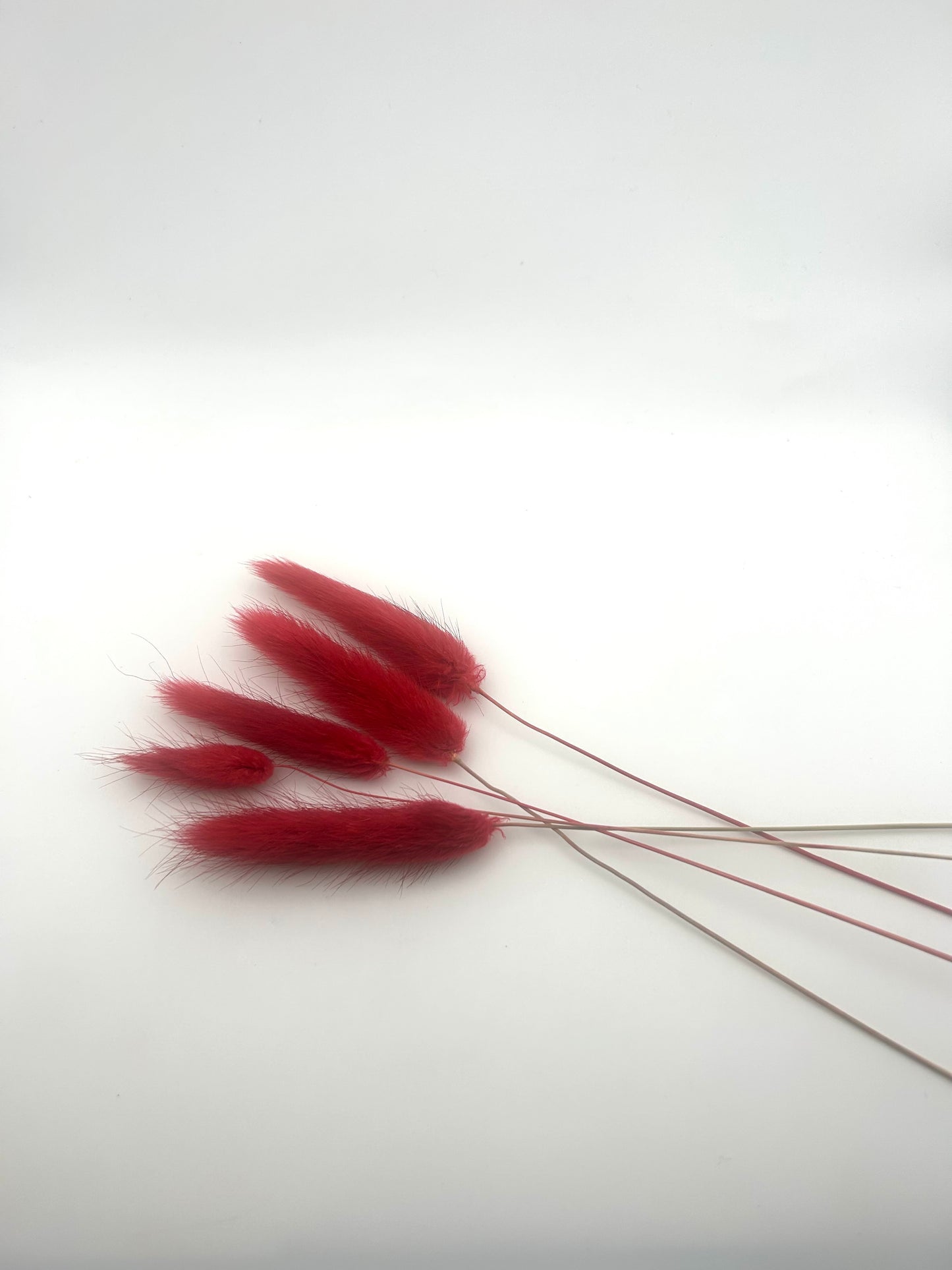 Bunny Tails- Deep Red