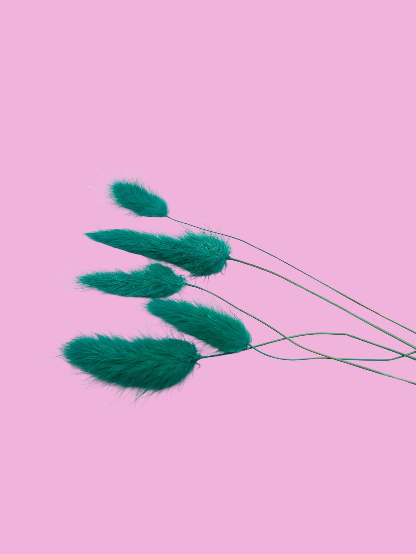 Bunny Tails- Teal