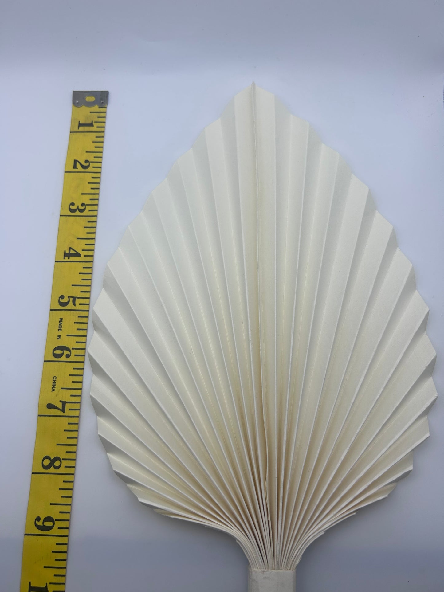Large White Palm Leaf/Fan- 9”
