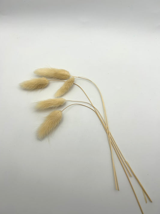 Bunny Tails- Cream (Light Nude)