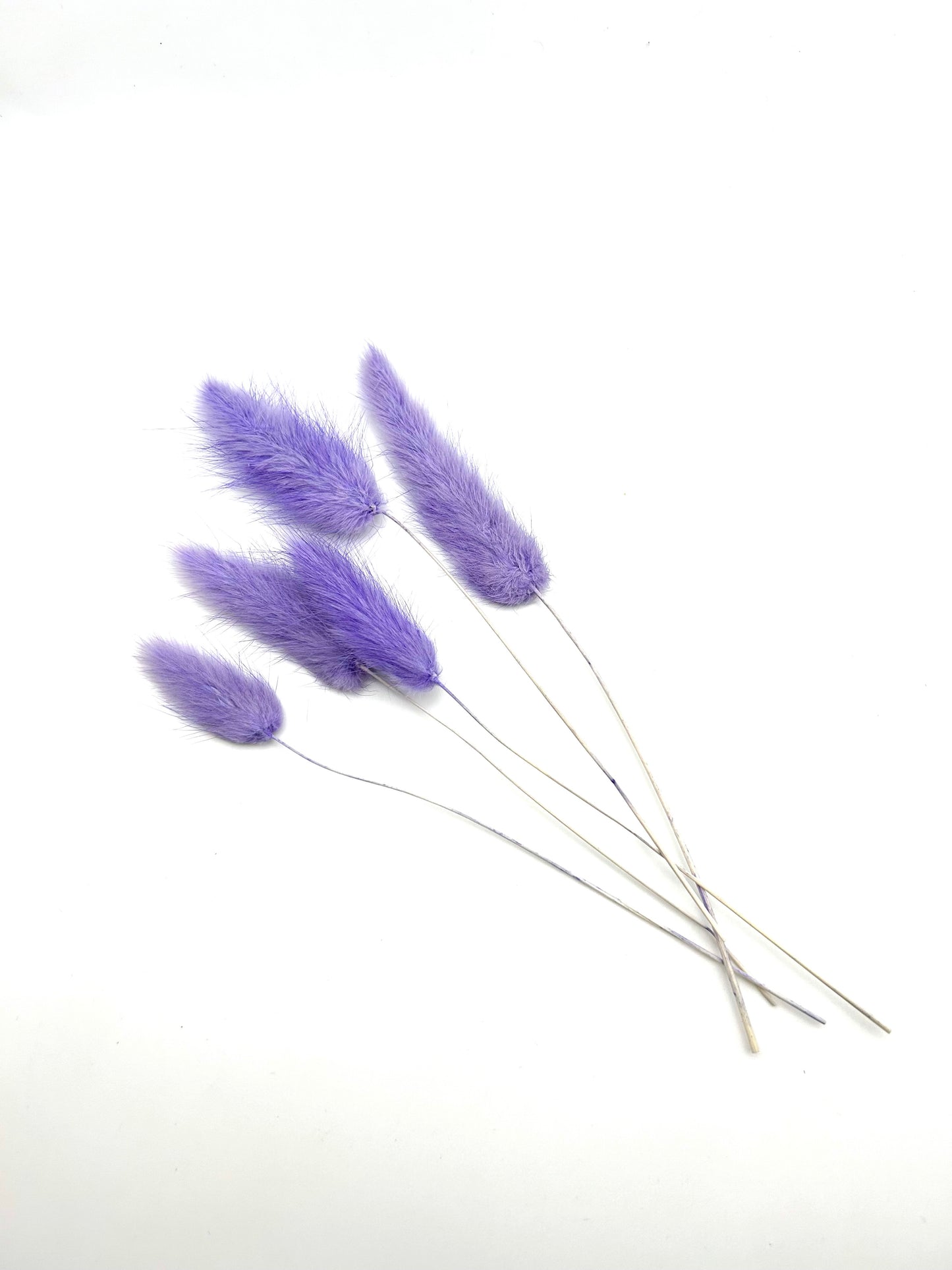 Bunny Tails- Purple