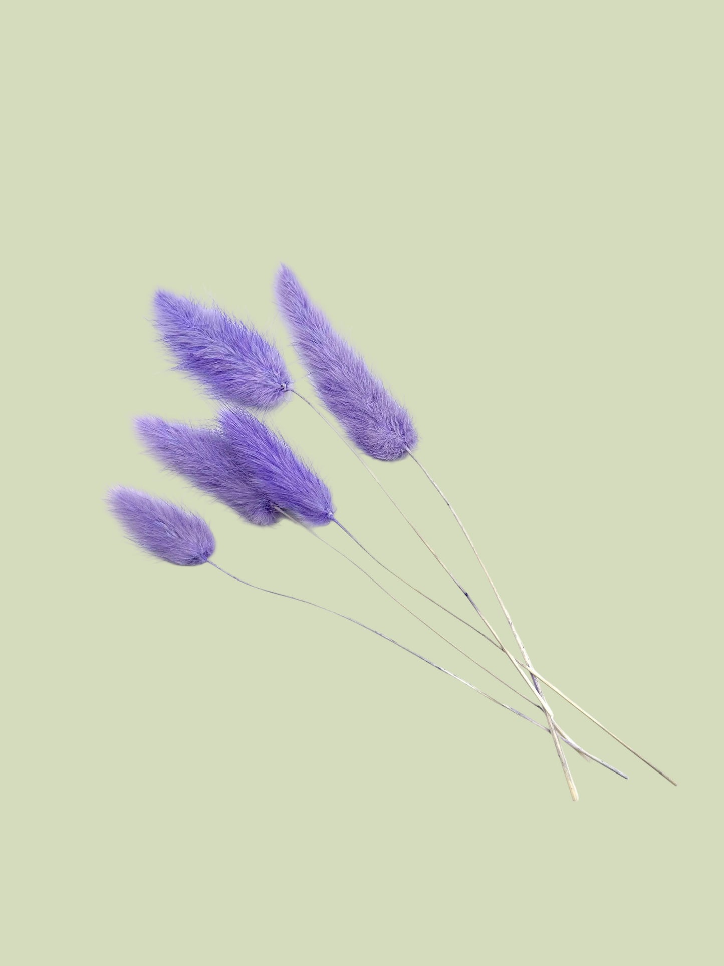 Bunny Tails- Purple