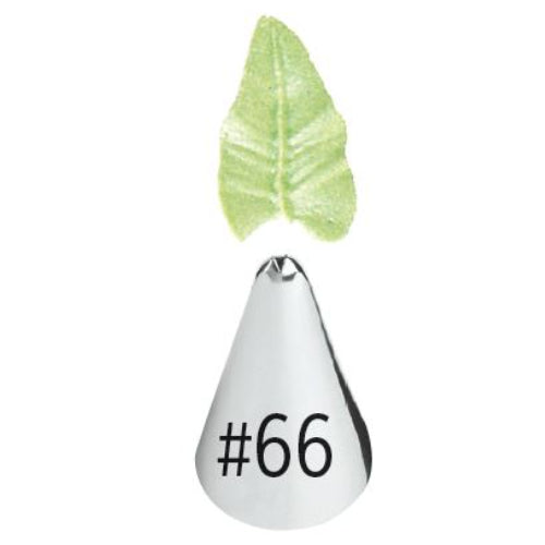 Leaf tip- 66