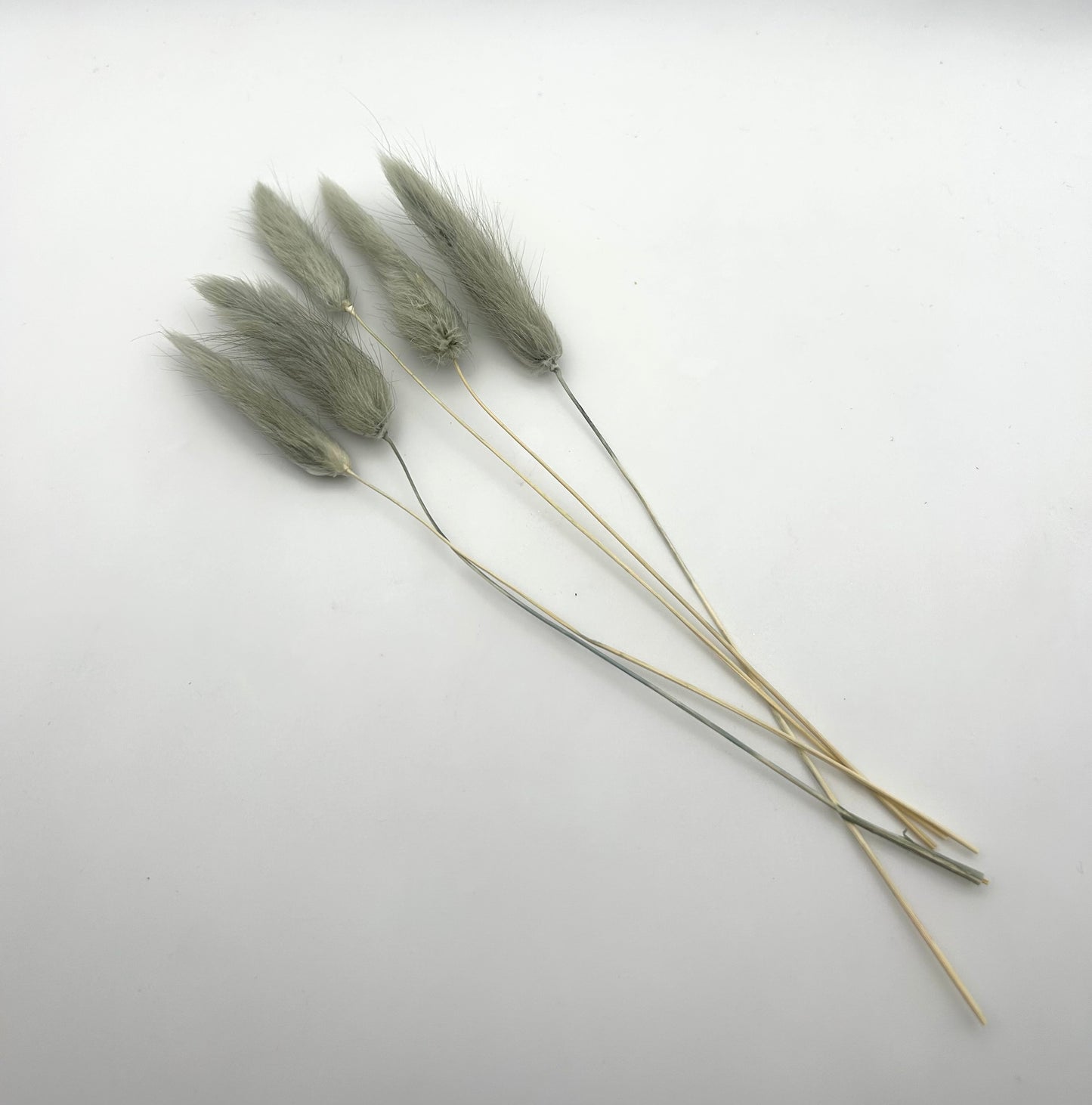 Bunny Tails- Grey