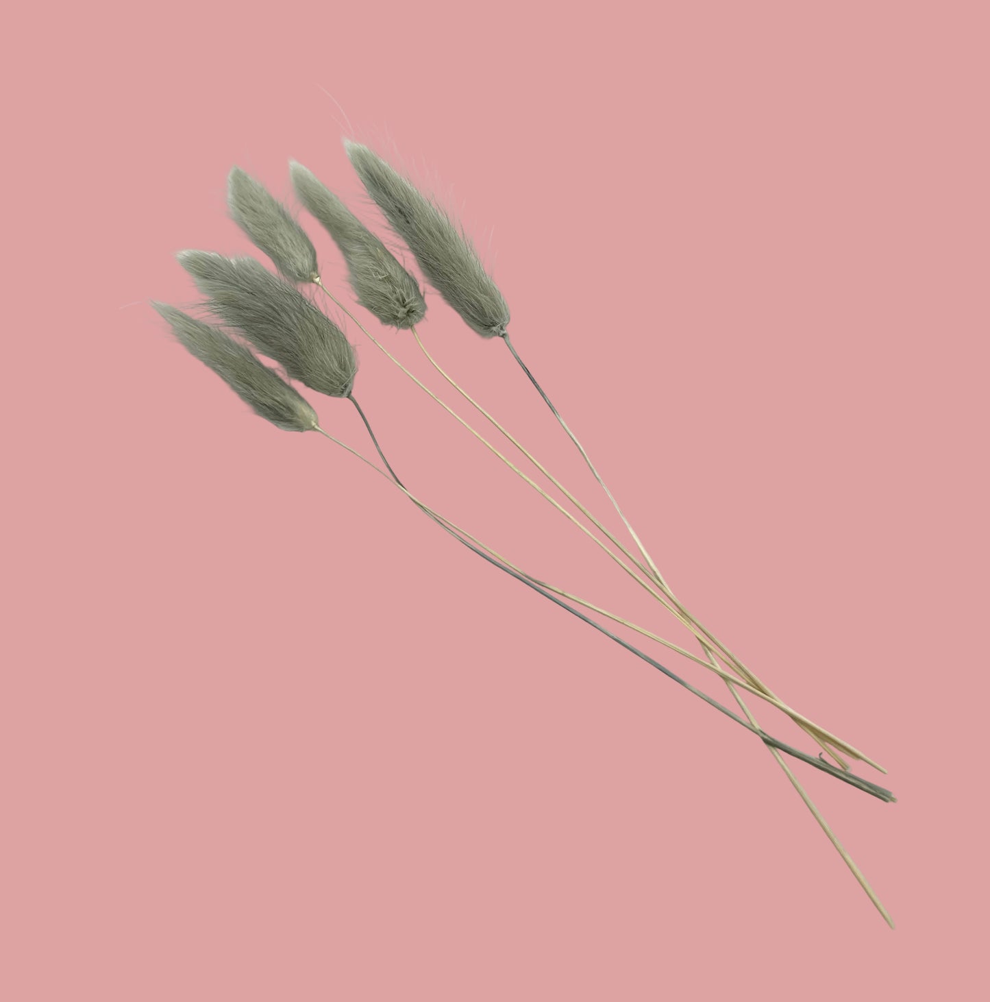 Bunny Tails- Grey