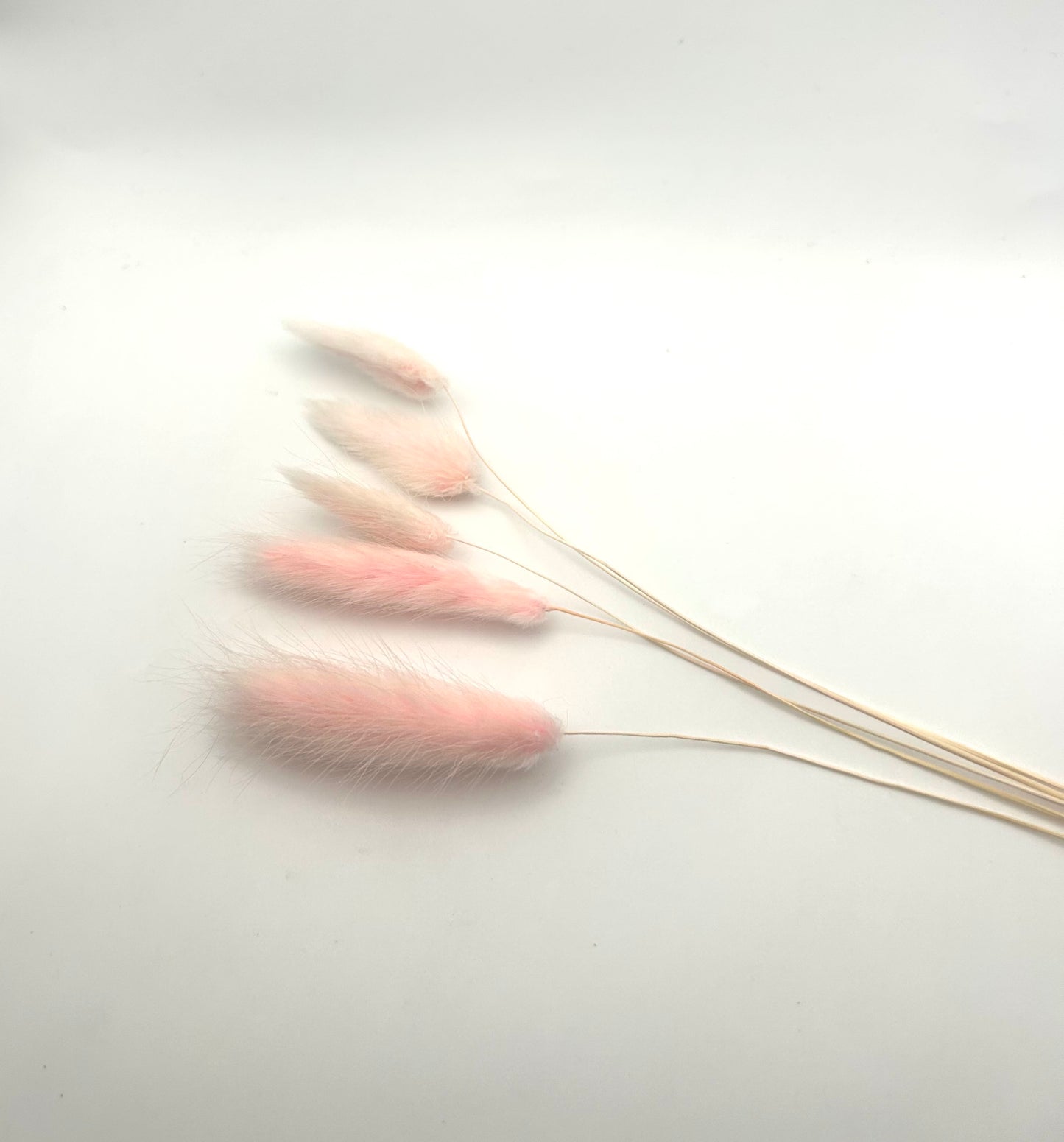 Bunny Tails- Light Pink
