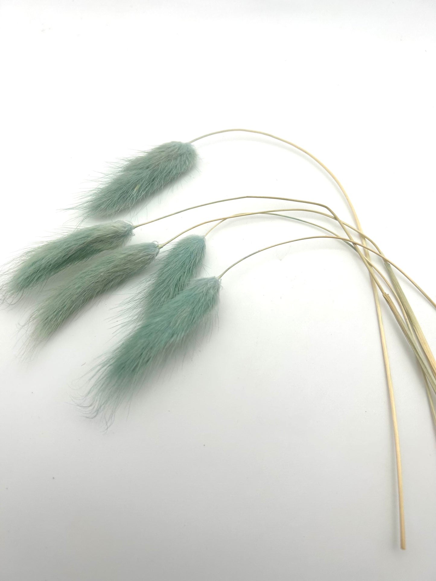 Bunny Tails- Seafoam Green
