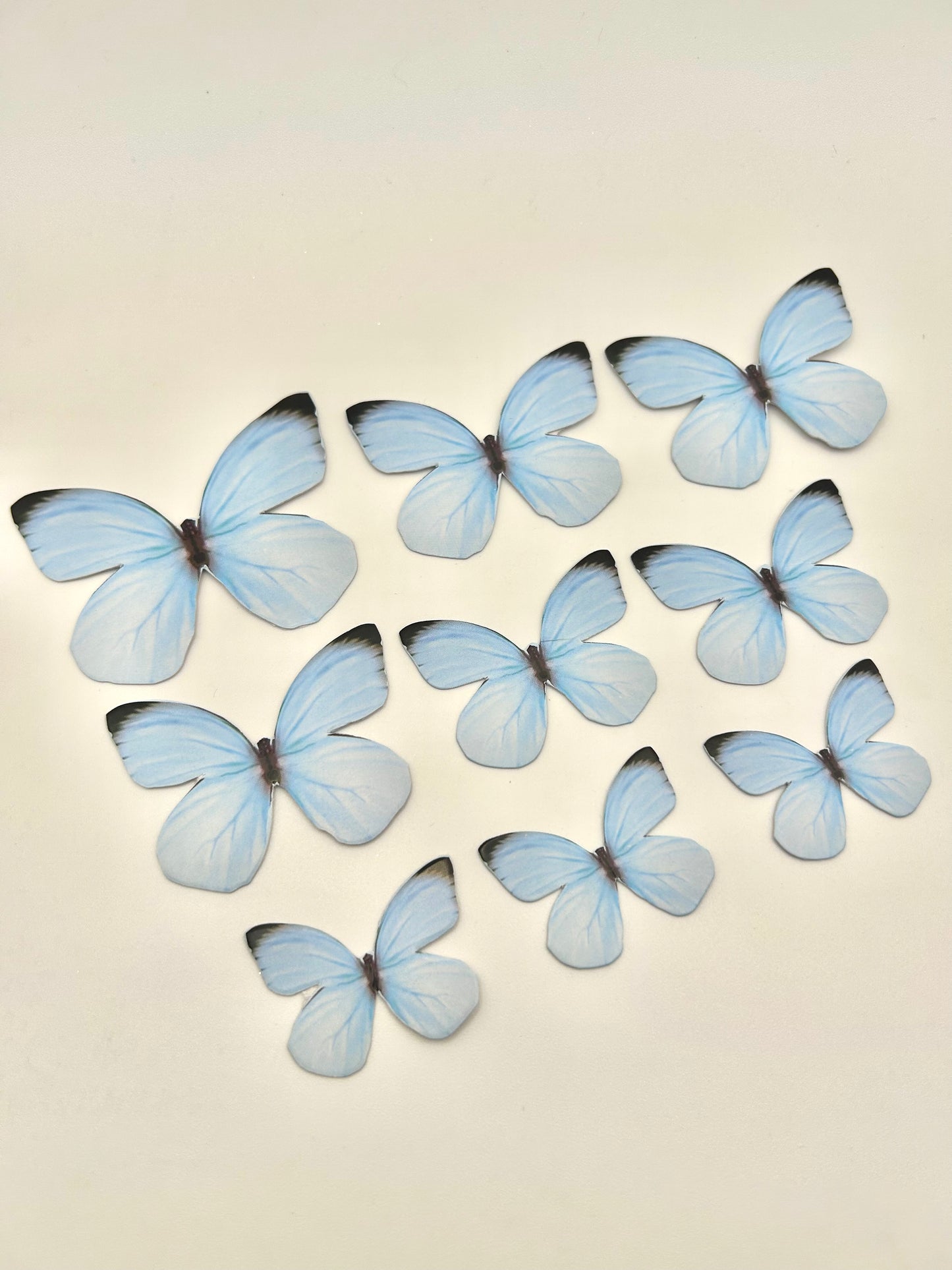 Pastel blue butterflies