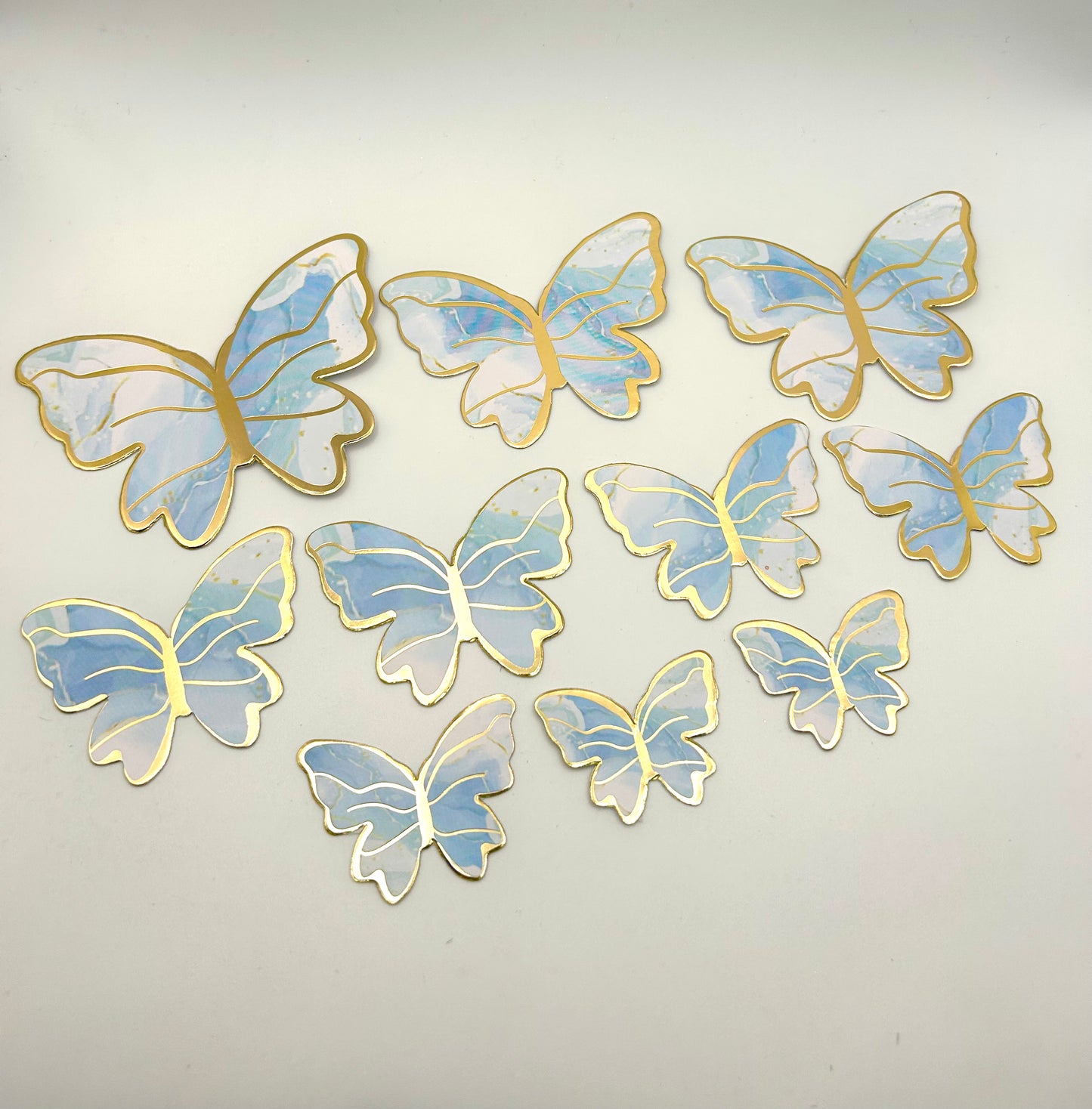 Marbled baby blue and white butterflies