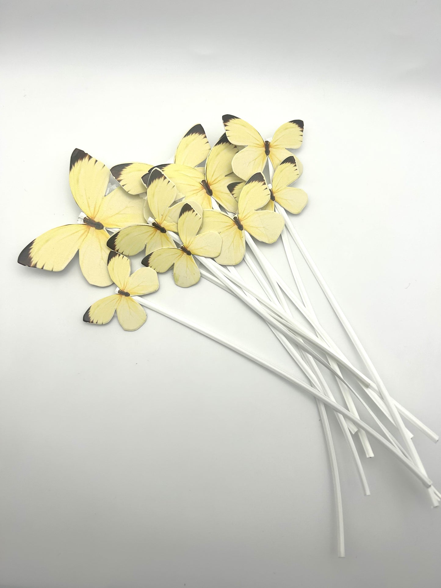 Yellow butterflies with stick
