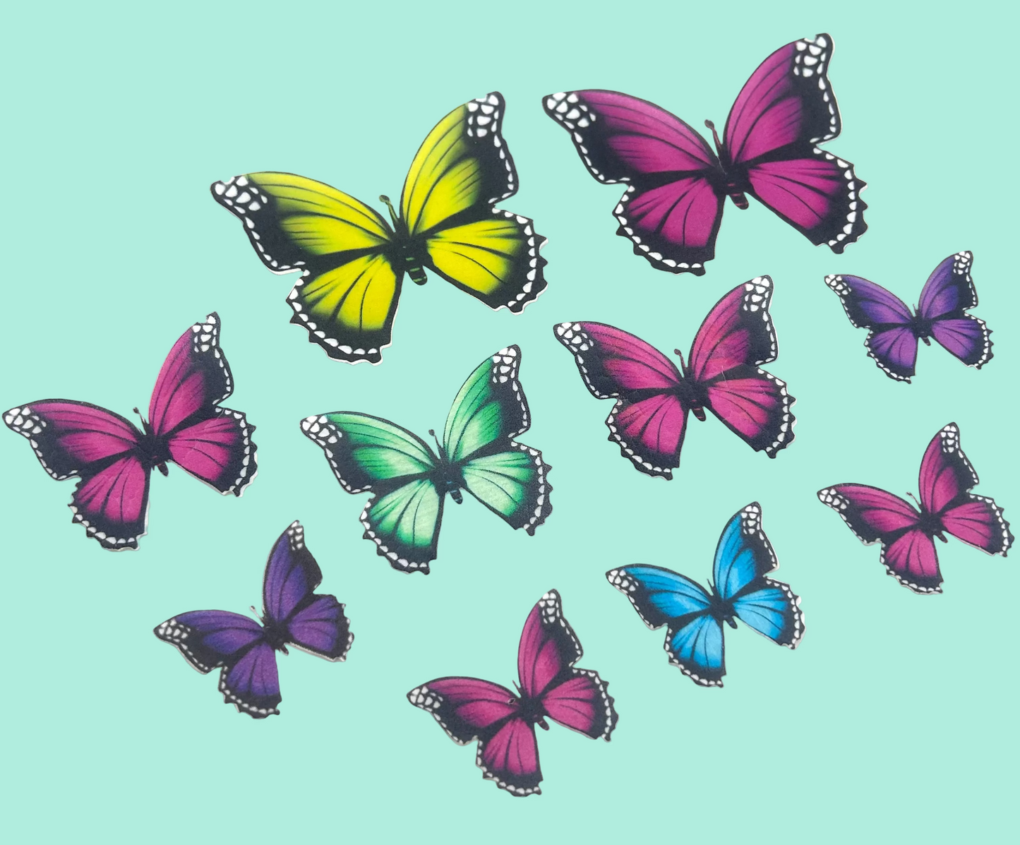 Edible butterflies- Multi-coloured
