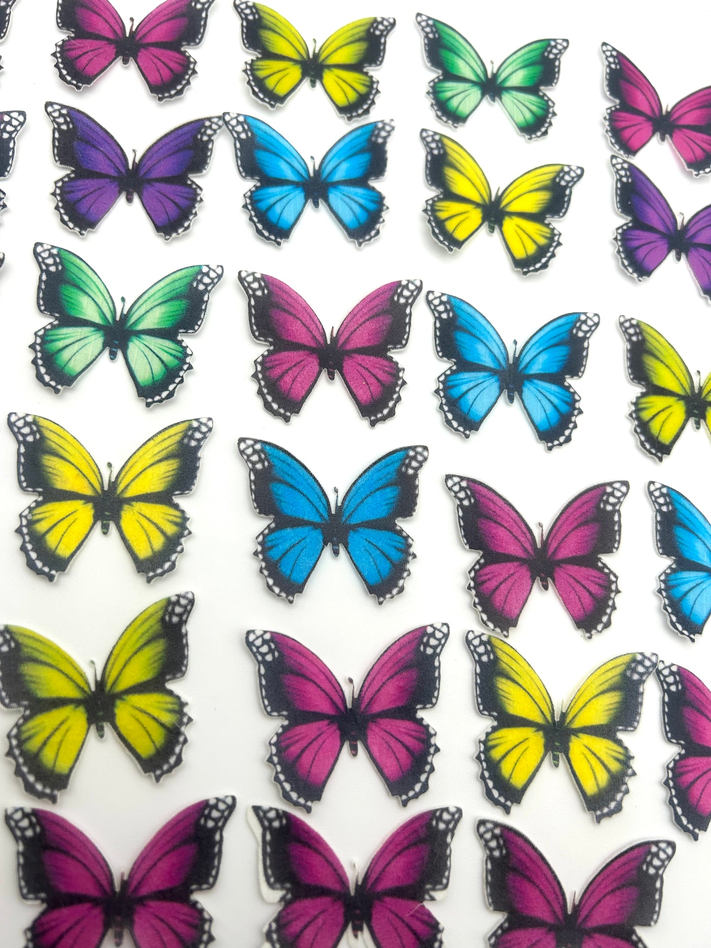 Edible butterflies- Multi-coloured