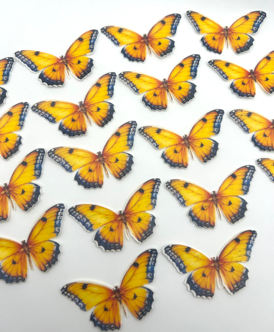 Edible butterflies- Orange