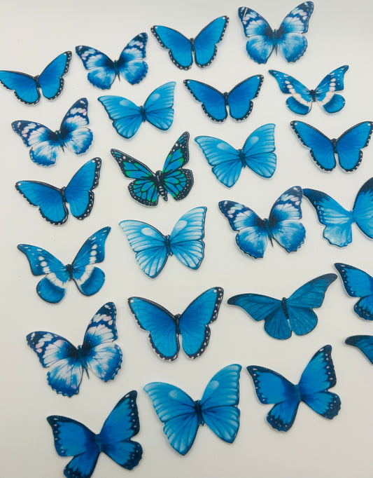 Edible butterflies- Blue