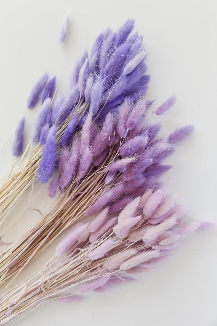 Bunny Tails