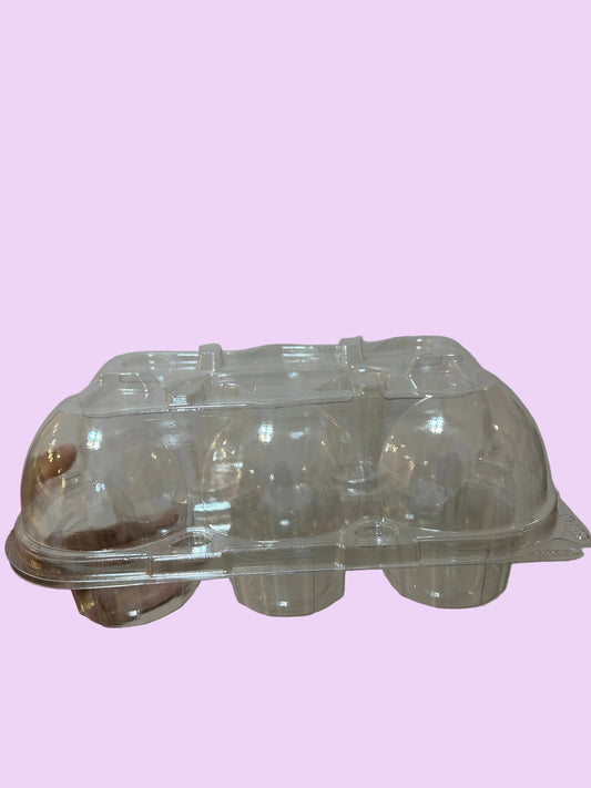 Plastic 6 cupcake container