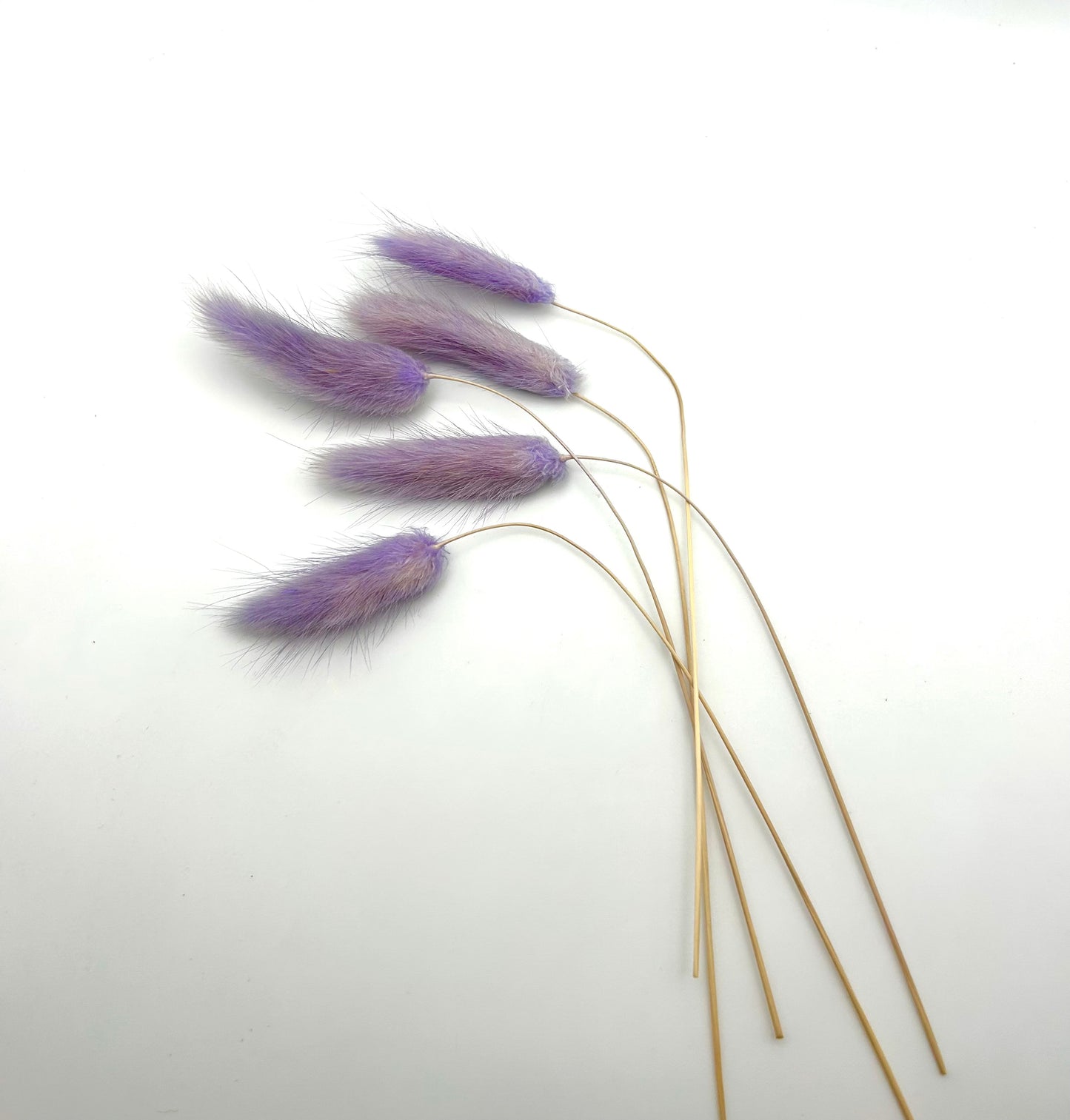Bunny Tails- Light Lilac