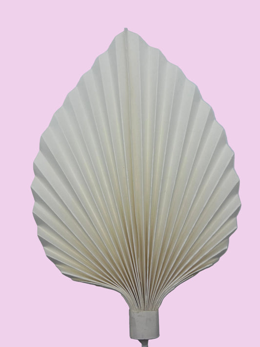 Large White Palm Leaf/Fan- 9”