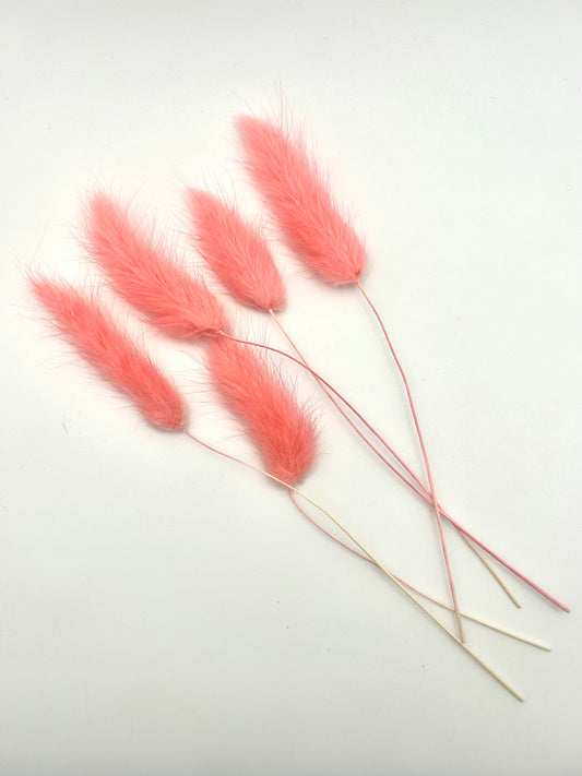 Bunny Tails- Watermelon Pink