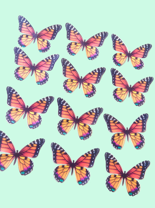 Edible Butterflies- Orange and Black