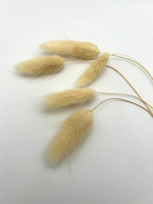 Bunny Tails- Cream (Light Nude)