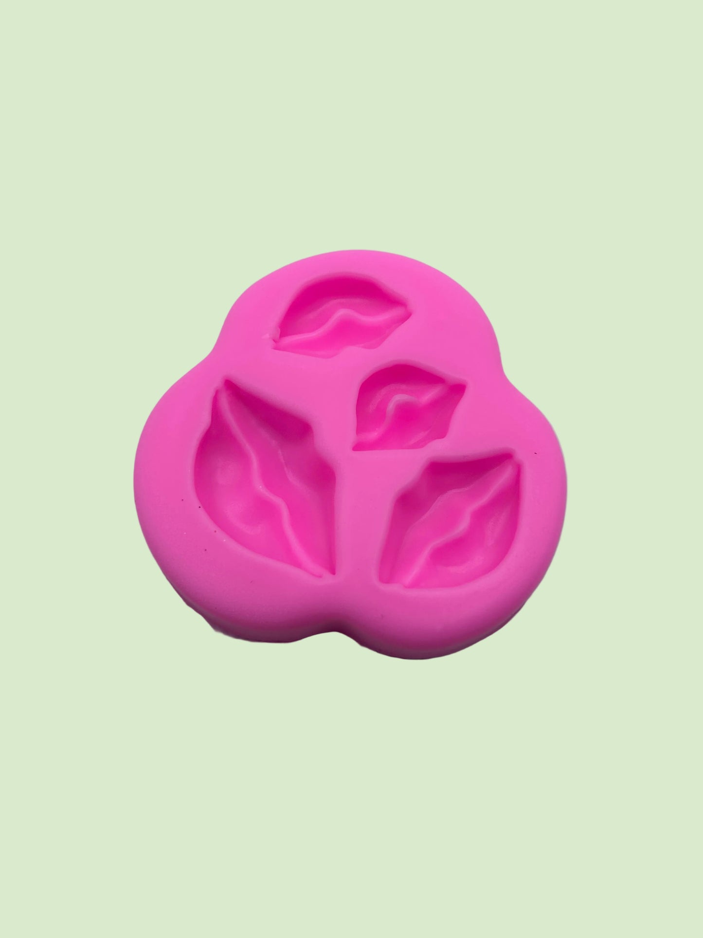 Lip Silicone Mould