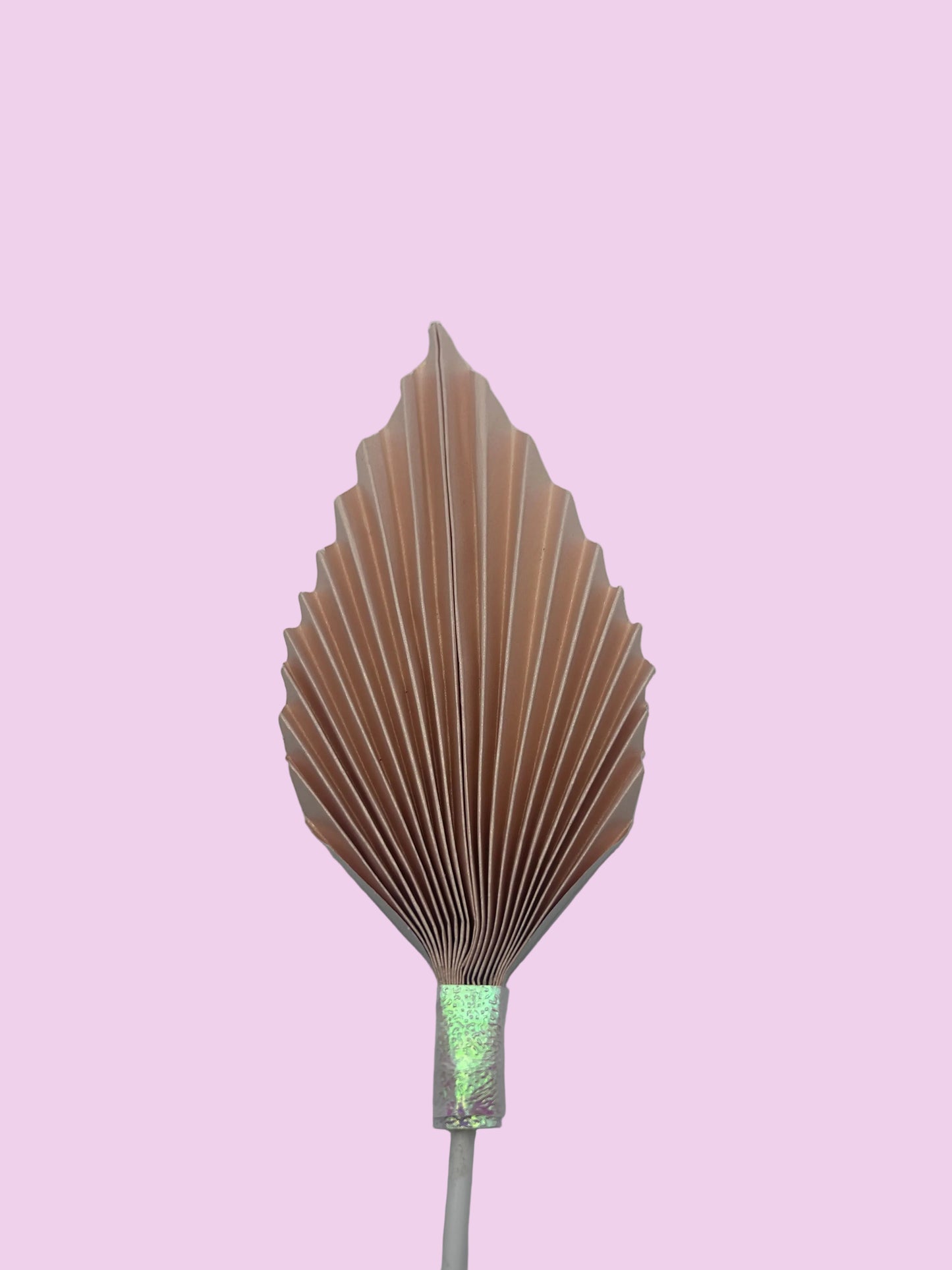 Medium Peach Palm Leaf/Fan- 5 1/2”