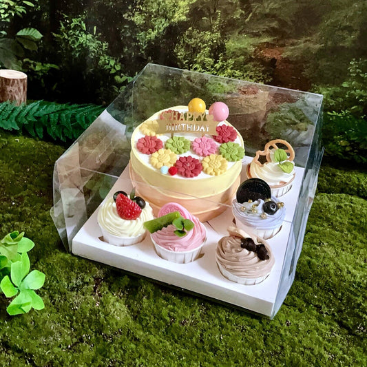 Transparent 5 cupcake, 1 cake cavity bento box- White base