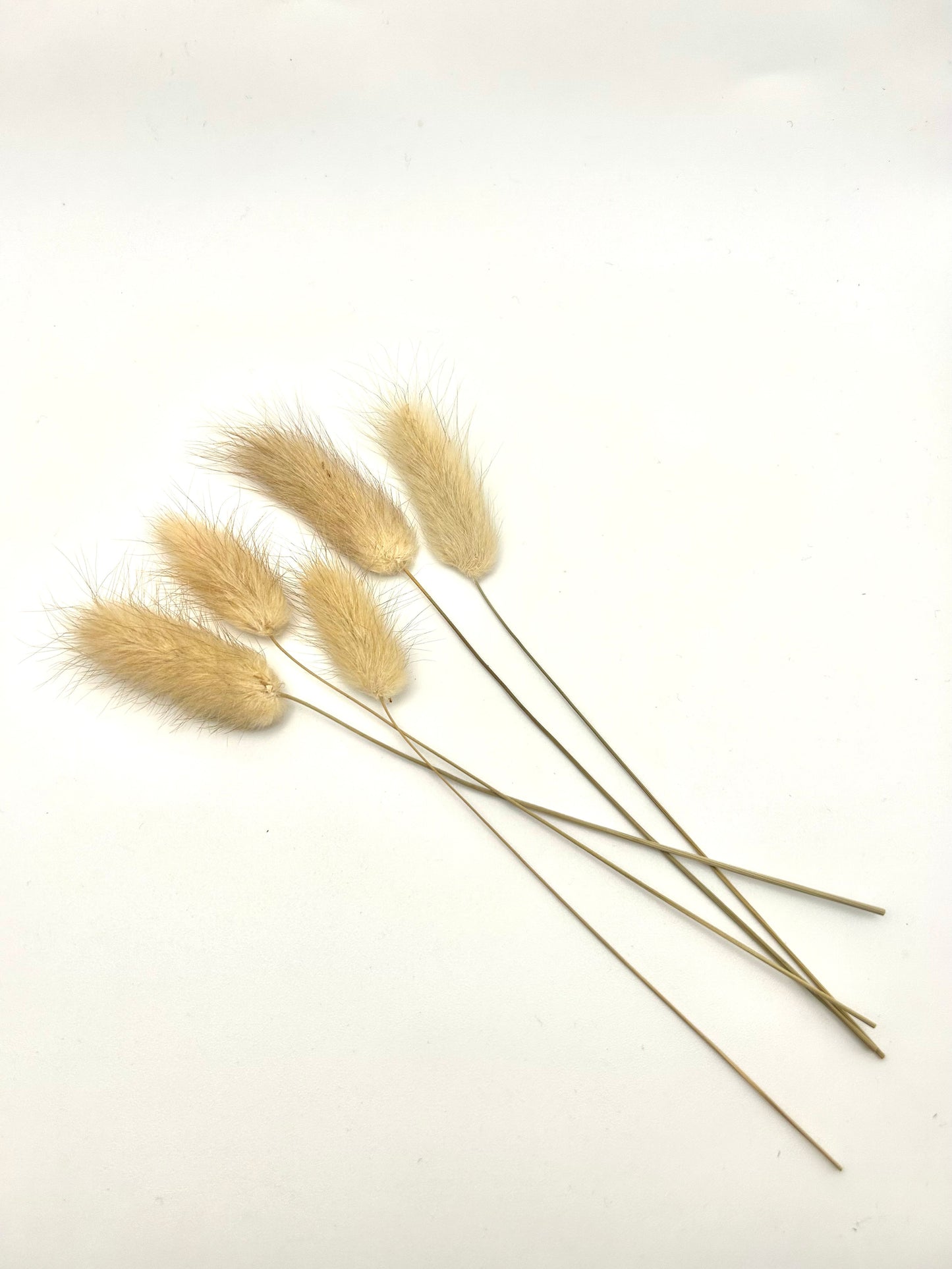 Bunny tails- Natural brown