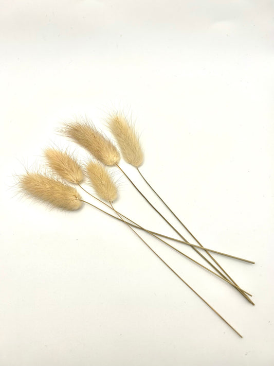 Bunny tails- Natural brown