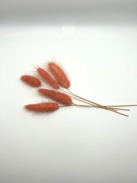 Bunny tails- Rust red