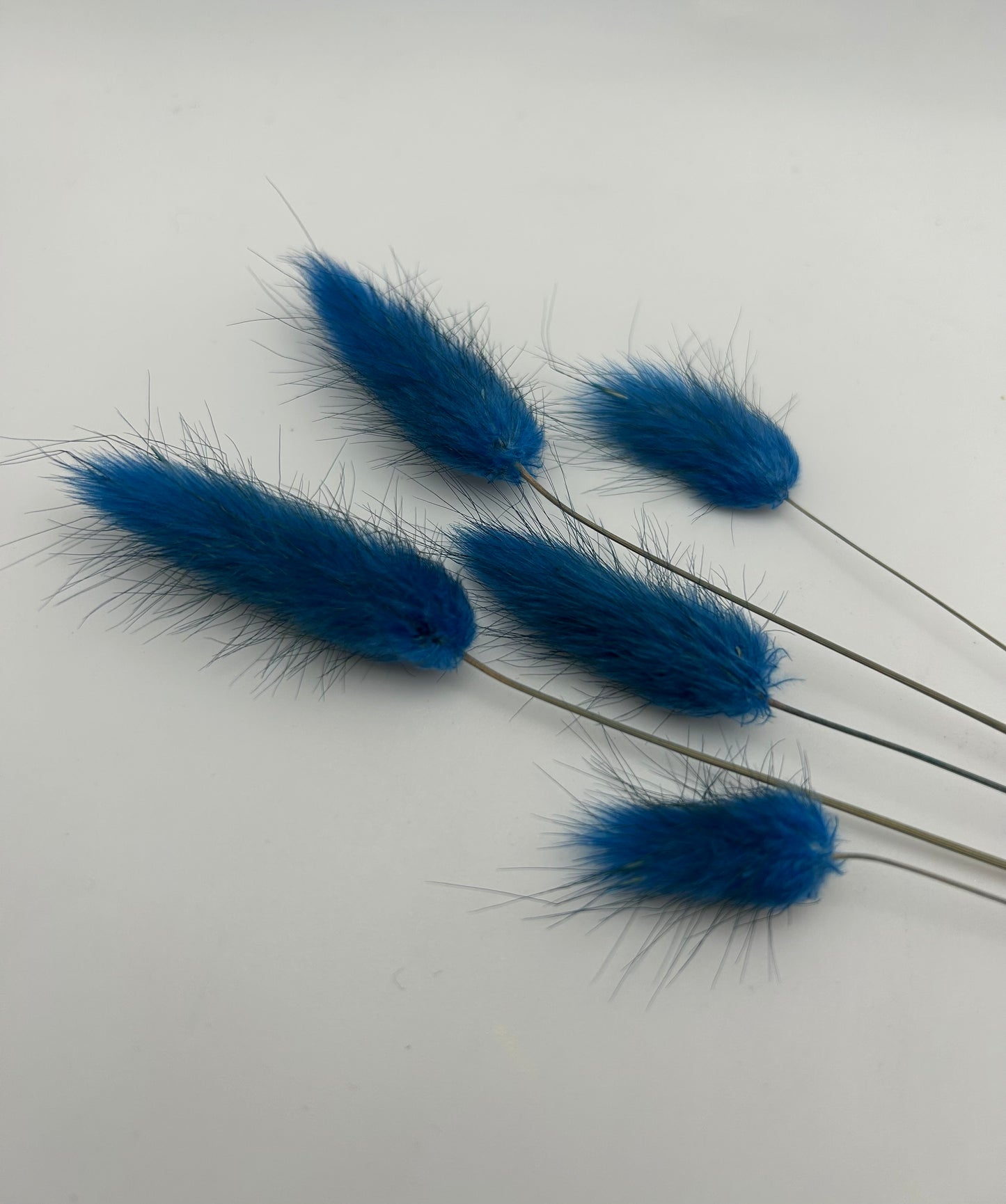 Bunny Tails- Navy Blue