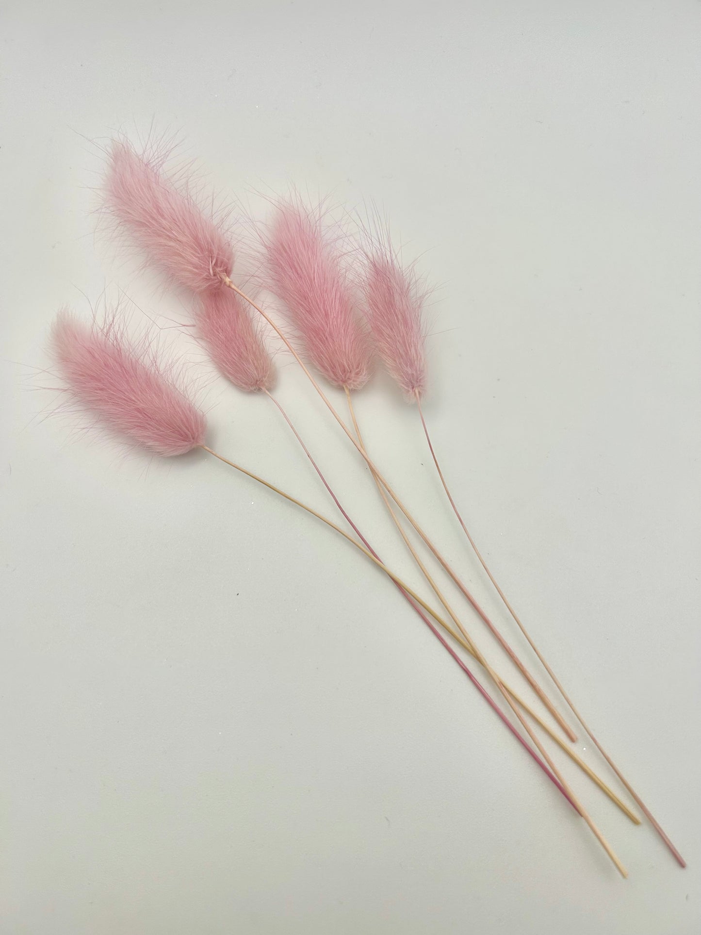 Bunny Tails- Dusty Pink