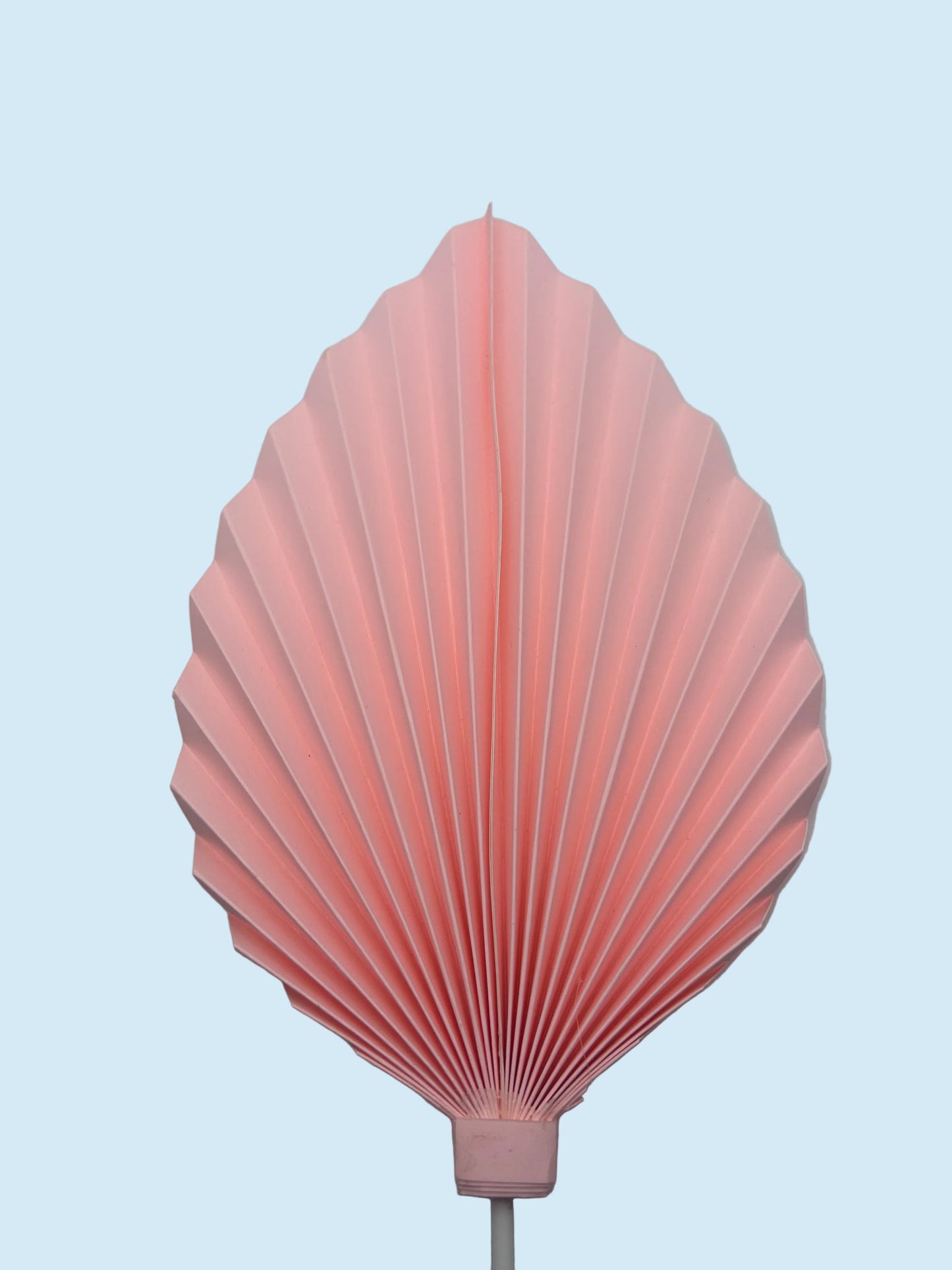 Large Baby Pink Palm Leaf/Fan