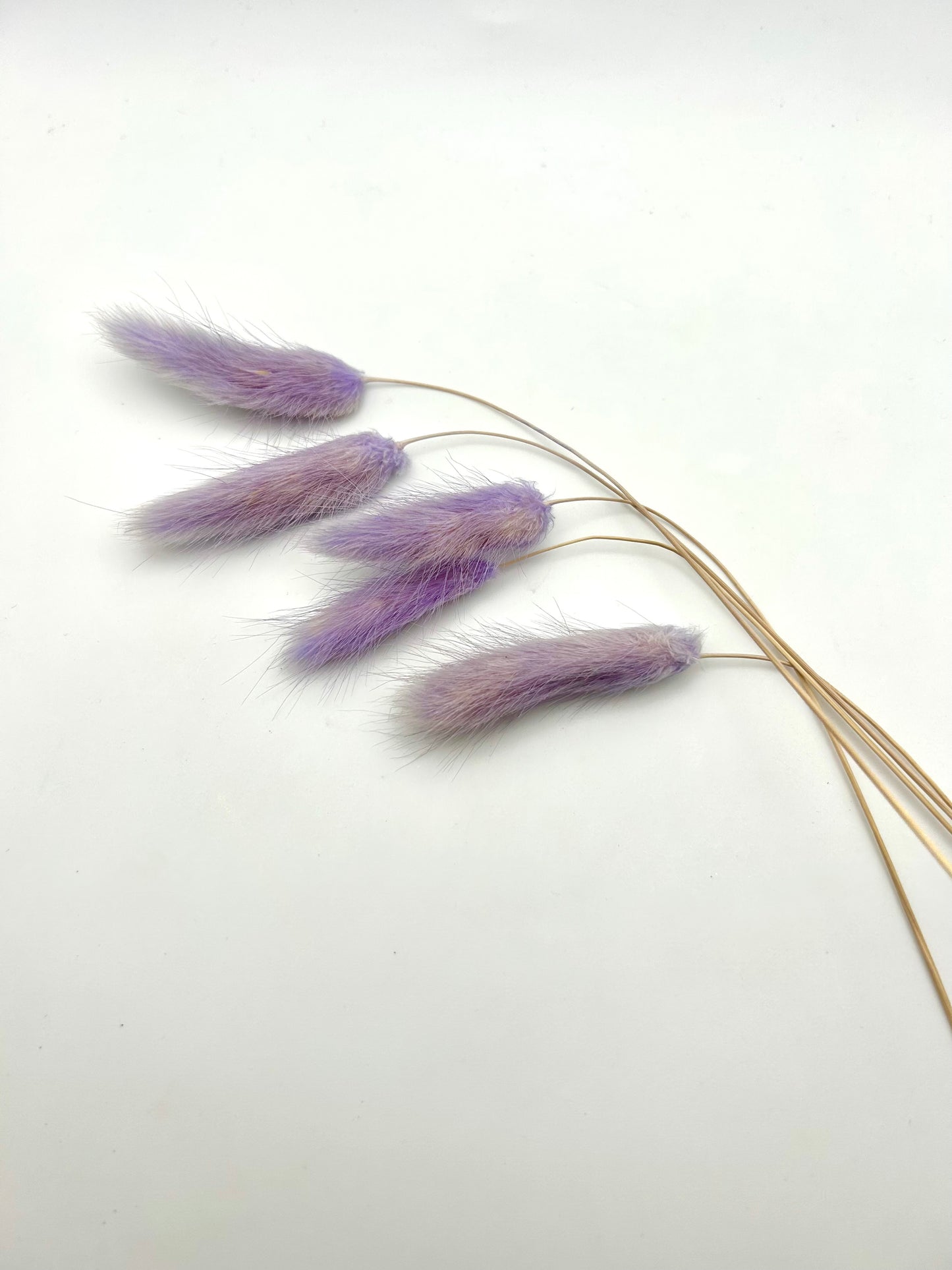 Bunny Tails- Light Lilac
