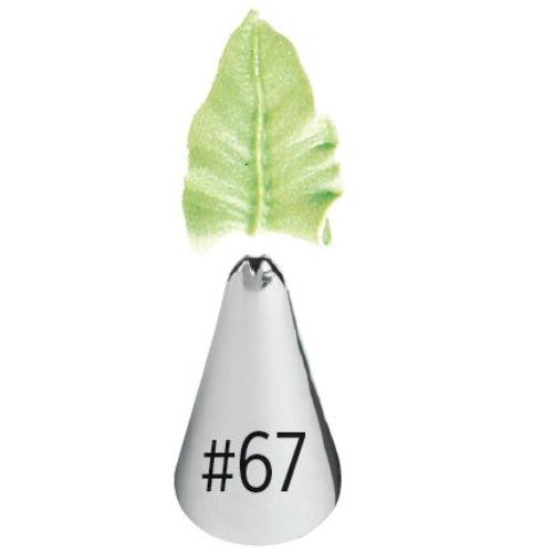 Leaf tip- 67