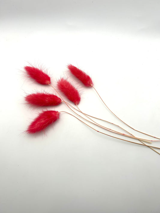 Bunny Tails- Fruit Punch