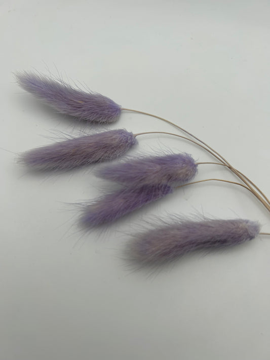 Bunny Tails- Light Lilac