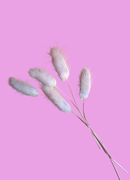 Bunny Tails- Very light Seafoam green