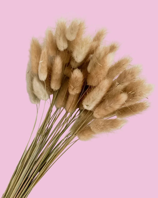 Bunny Tails- Natural Brown