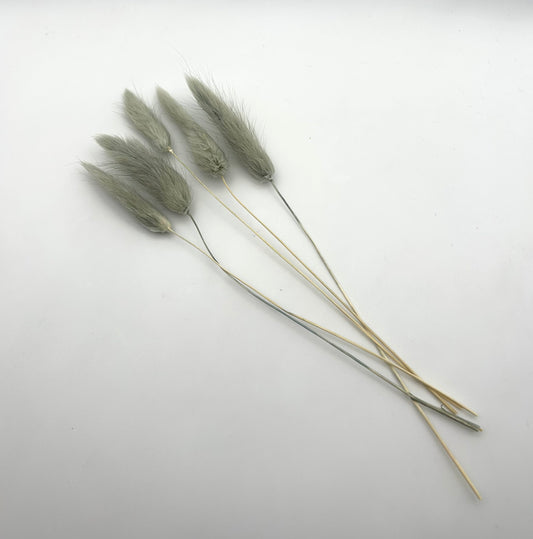 Bunny Tails- Grey