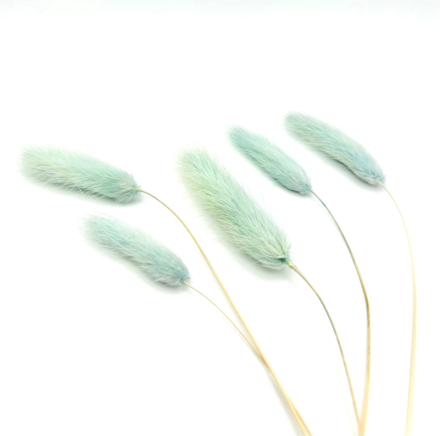 Bunny tails- Light dusty teal