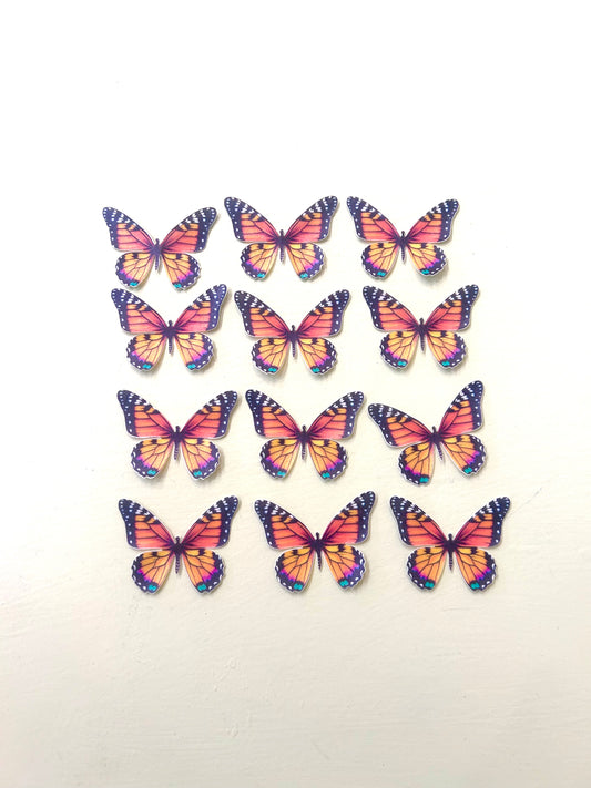 Edible Butterflies- Orange and Black