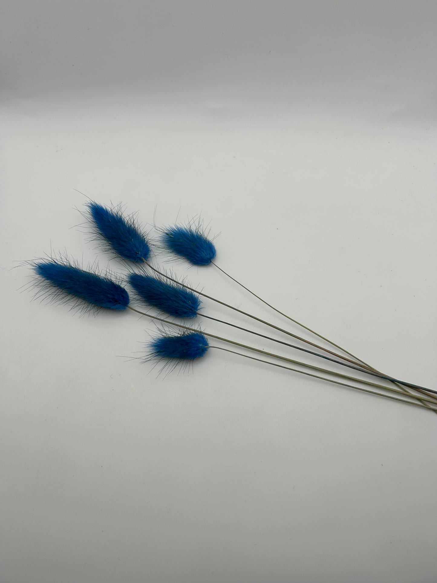 Bunny Tails- Navy Blue
