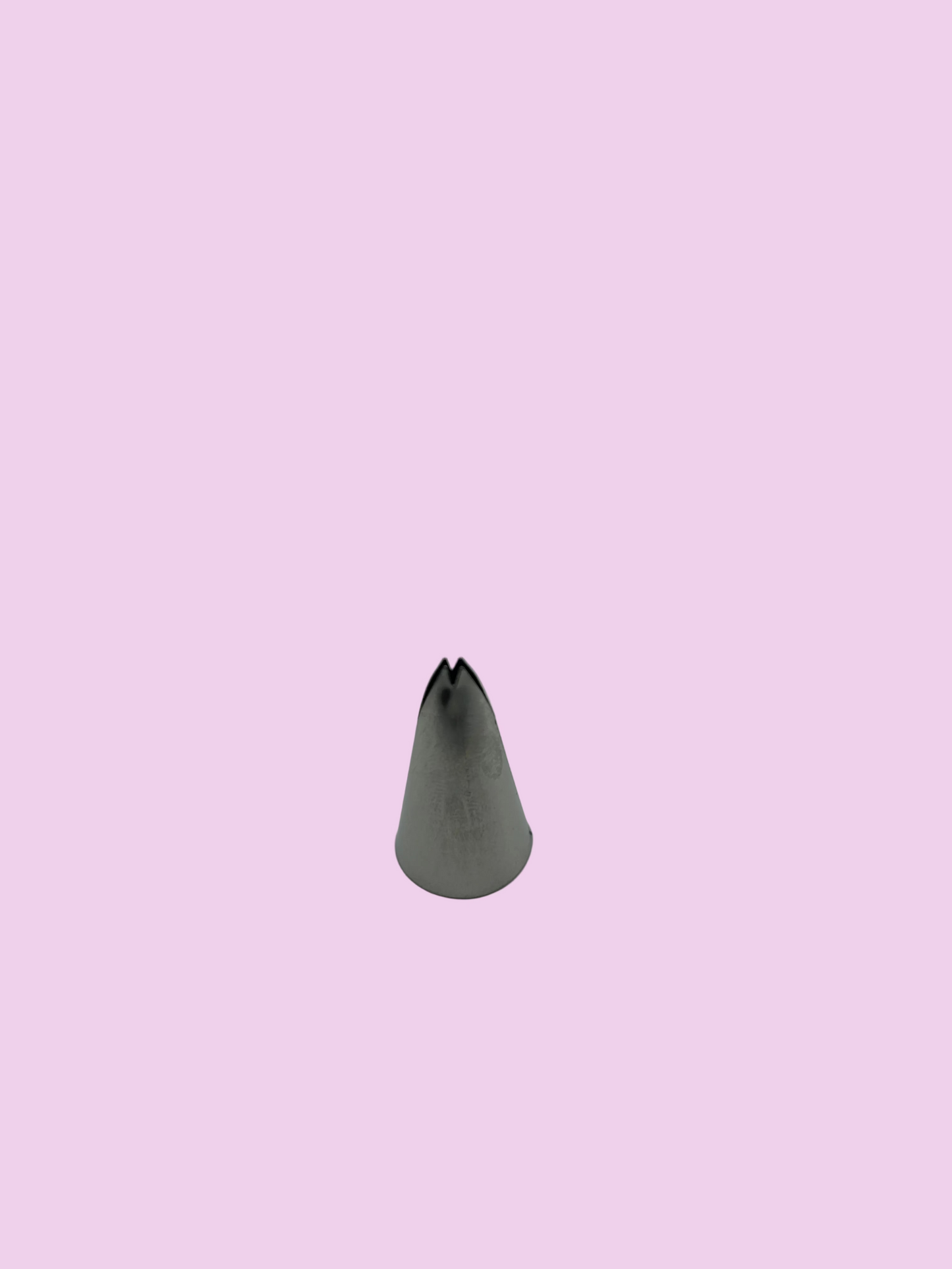 Leaf Tip 2