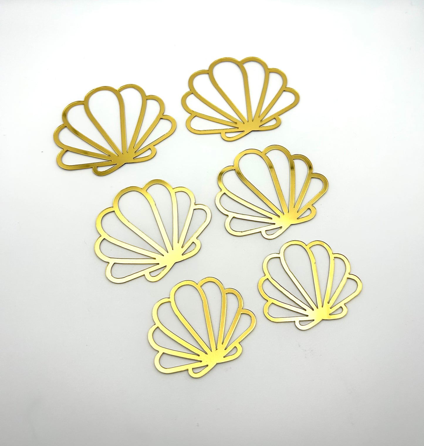 Seashells