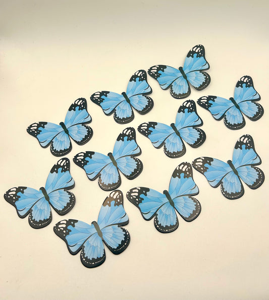 Blue and black butterflies