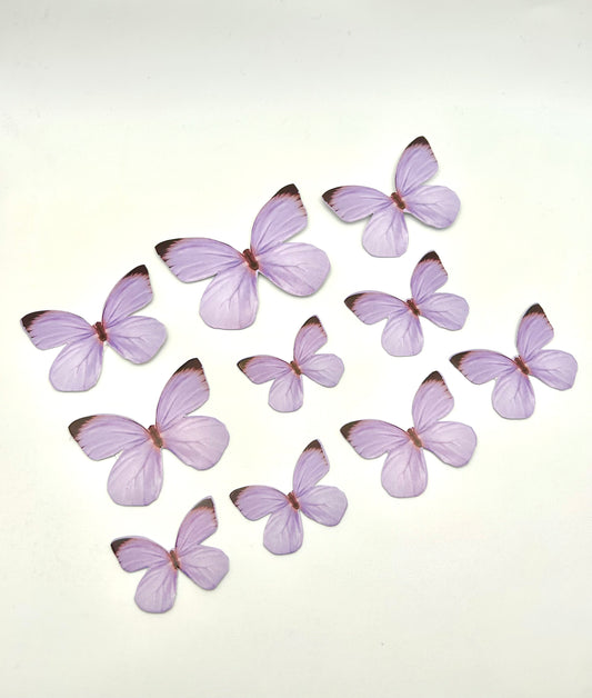 Pastel purple butterflies