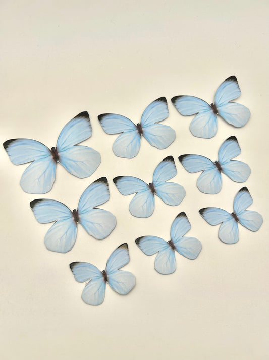 Pastel blue butterflies