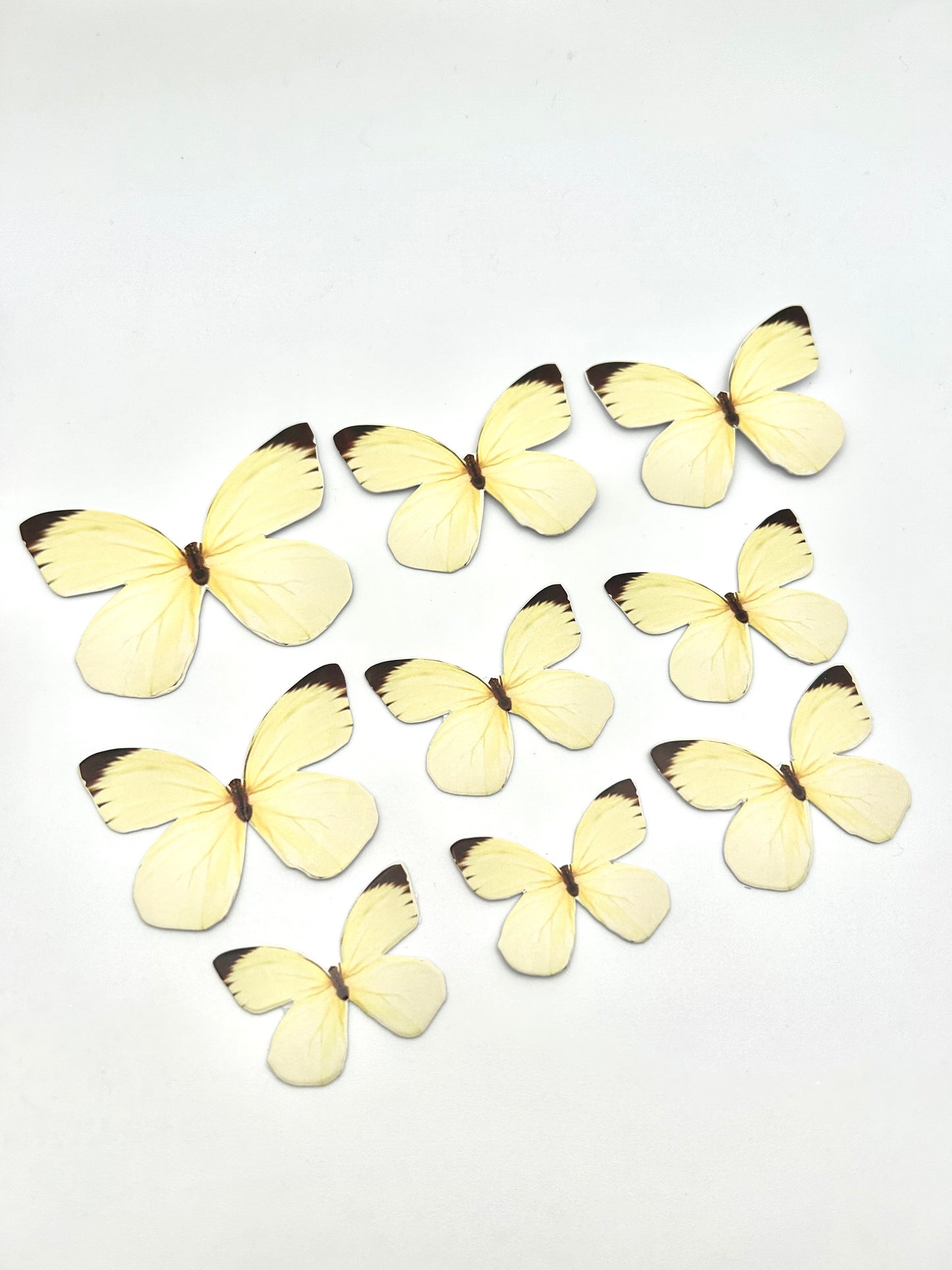 Pastel yellow butterflies